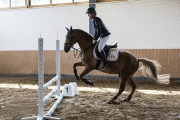 Bild 4 - Pony Akademie Turnier